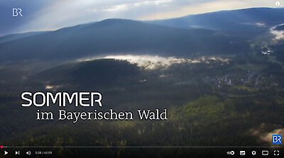 Sommer im Bayerischen Wald
